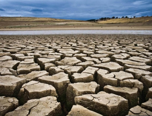 How To Prepare For A Drought