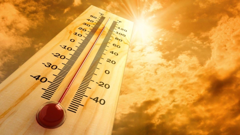 How To Prepare For Extreme Heat - Ready Network